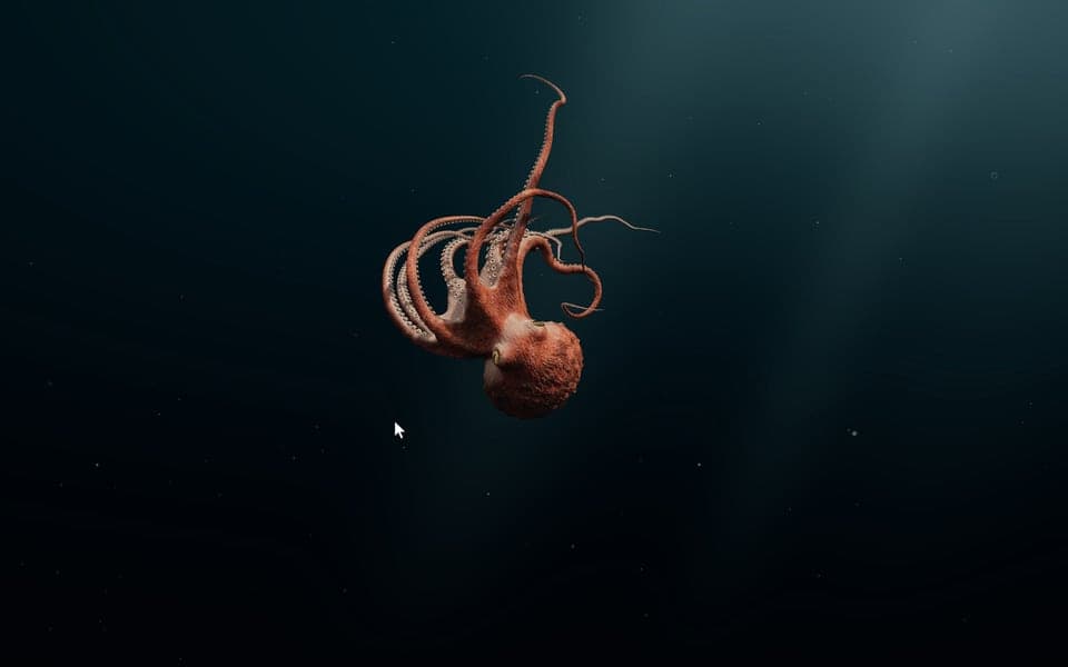 Abyssal Visitor